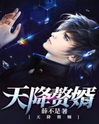 天降赘婿全文阅读