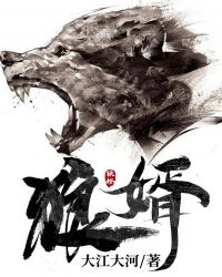 狼婿全文阅读