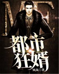 都市狂婿全文阅读