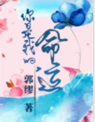 你是我的,命运全文阅读