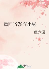 重回1978奔小康全文阅读