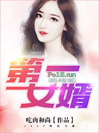 第一女婿全文阅读