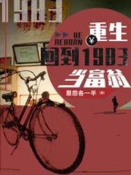 重生:回到1983当富翁全文阅读