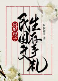 贵妃母子民国文生存手札全文阅读