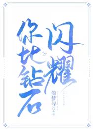 你比钻石闪耀全文阅读