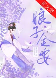 娘子金安全文阅读