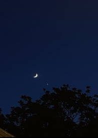 她们的生活全文阅读