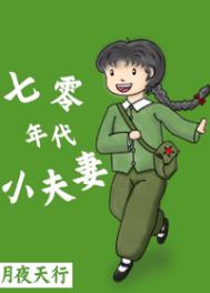 七零年代小夫妻(作战:月夜天行)全文阅读