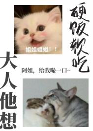 大人他想硬饭软吃全文阅读