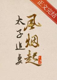 太子追妻风烟起全文阅读