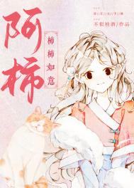阿柿全文阅读