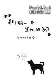 驯服一条复仇的狗全文阅读