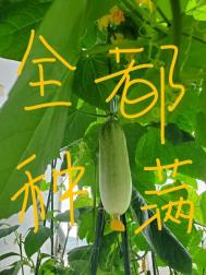把修真界种满后全文阅读