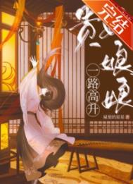 贵妃娘娘一路高升全文阅读
