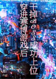 穿进赛博游戏后干掉BOSS成功上位全文阅读