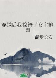 穿越后我嫁给了女主她哥全文阅读