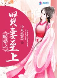 暖婚之贤妻至上全文阅读