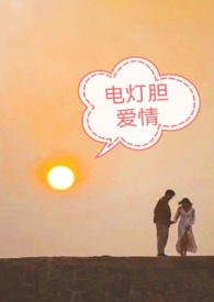 电灯胆爱情全文阅读