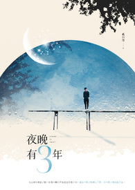 夜晚有三年全文阅读