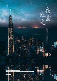 夜雾微光全文阅读