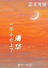 一不小心上了清华全文阅读