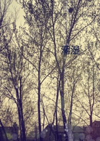 潮湿gl(纯百)全文阅读