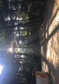 京都纪行全文阅读