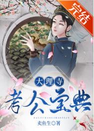 大理寺考公宝典全文阅读