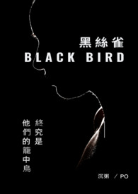黑丝雀(NPH)全文阅读
