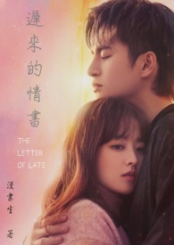 迟来的情书全文阅读