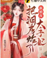 新婚夜太子妃把洞房炸了全文阅读