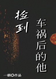 捡到车祸后的他全文阅读