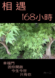 相遇168小时全文阅读