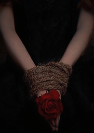 观言(双生骨科)全文阅读