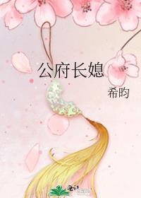 公府长媳全文阅读