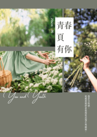 青春页有你全文阅读