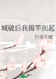 城破后我揭竿而起全文阅读