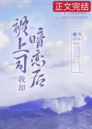 被上司暗恋后我却全文阅读