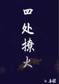 四处撩火【1v1】全文阅读