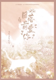 日落前爱你全文阅读