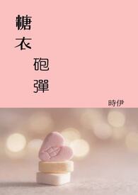 糖衣砲弹全文阅读