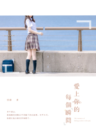 爱上你的每个瞬间全文阅读
