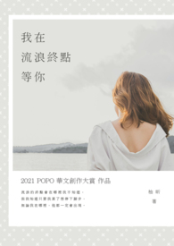 我在流浪终点等你全文阅读