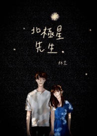 北极星先生全文阅读