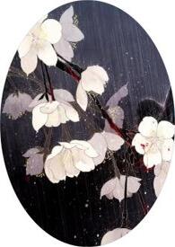 喝断片全文阅读