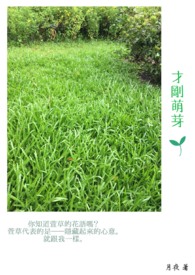 才刚萌芽全文阅读