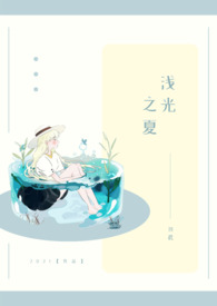 浅光之夏全文阅读