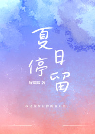 夏日停留全文阅读