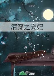清穿之宠妃全文阅读