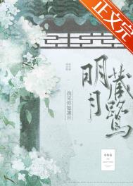 明月藏鹭全文阅读